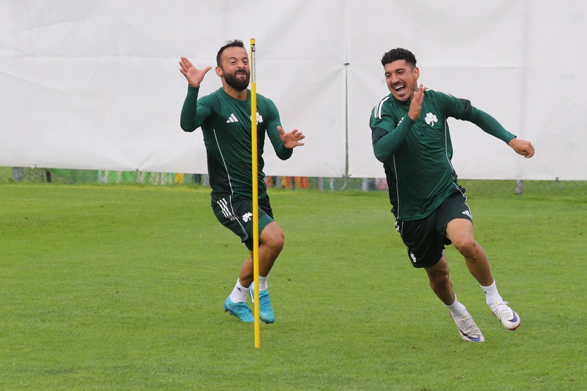 Ο Δημήτρης Λημνιός είναι ο μόνος «πράσινος» που μπορεί να... συναγωνιστεί τον Μανώλη Σιώπη στα «πειράγματα» - ΠΗΓΗ: Eurokinissi