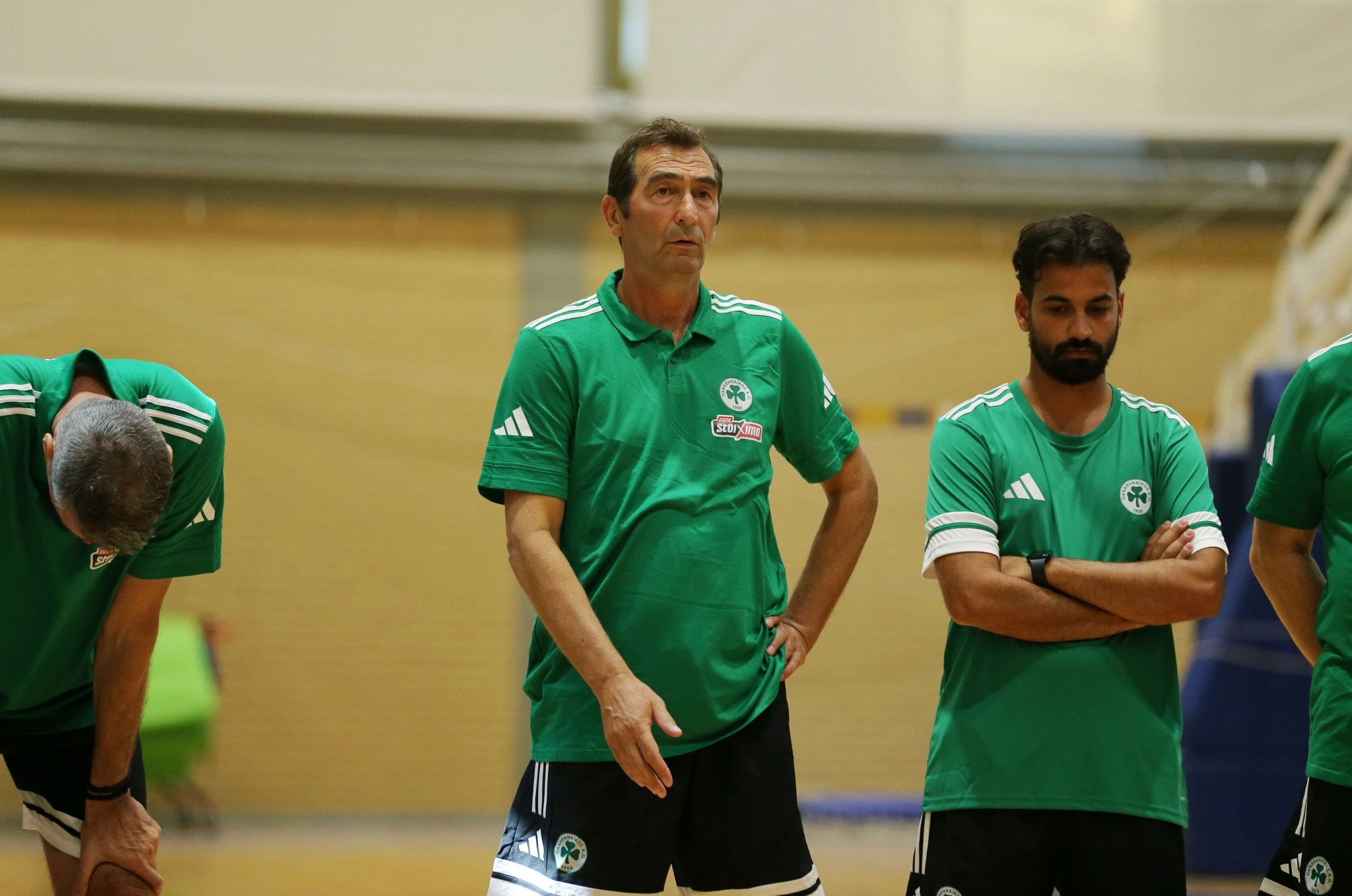 Ο προπονητής του Παναθηναϊκού στο βόλεϊ ανδρών, Δημήτρης Ανδρεόπουλος / Πηγή: Intime