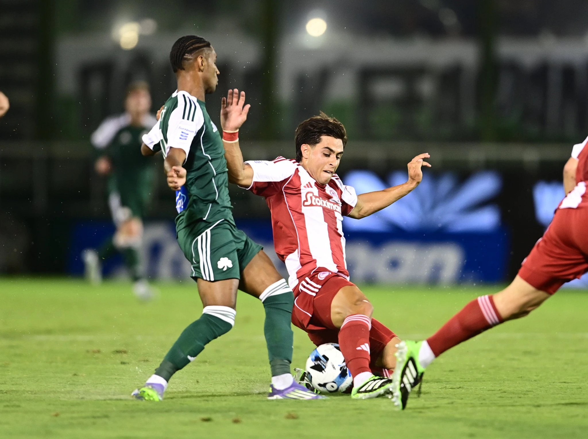 Ο Λορέντσο Σιπιόνι με τον Τετέ στο Παναθηναϊκός - Ολυμπιακός / Πηγή: Eurokinissi