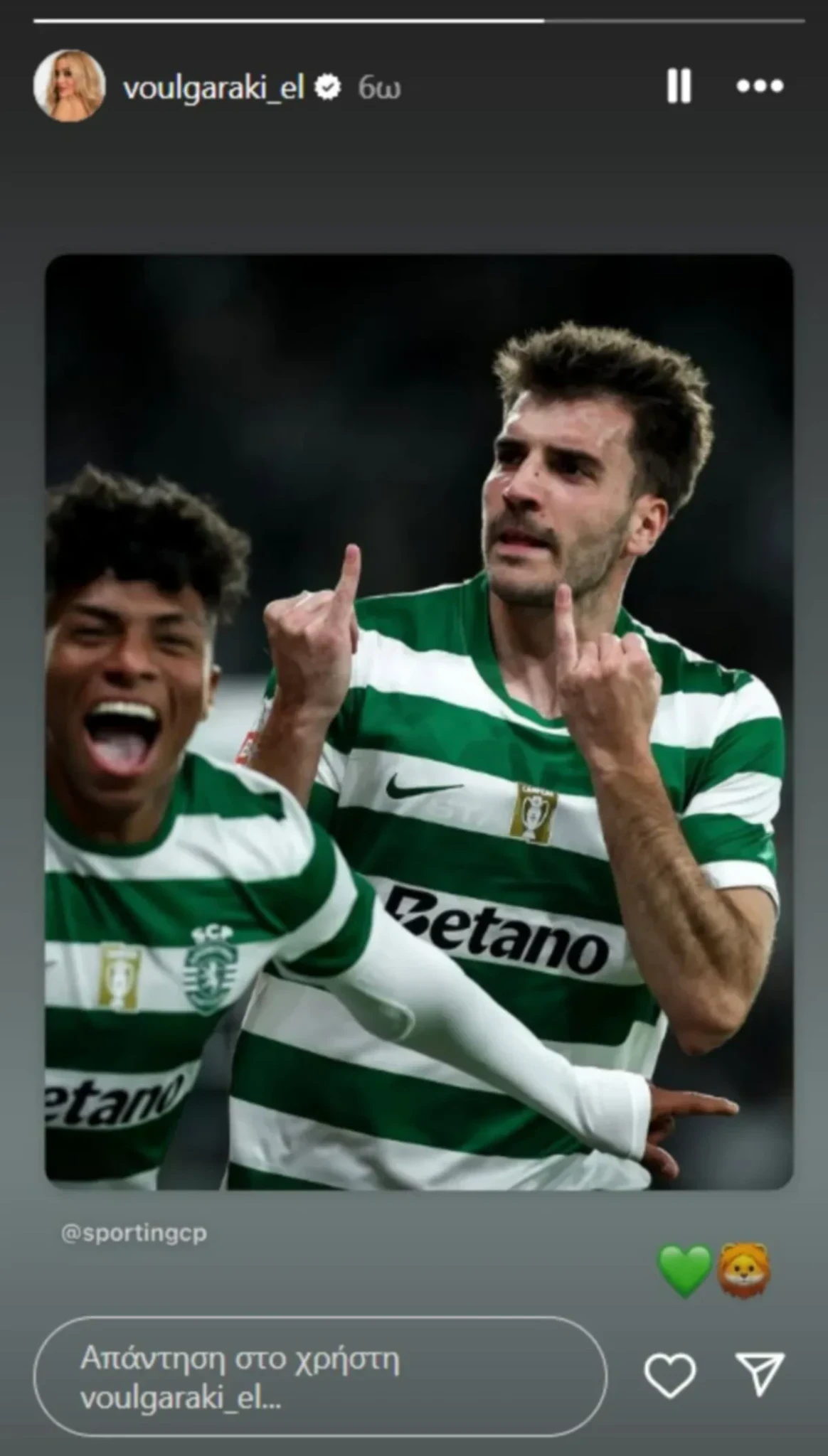 H δημοσίευση της Ελένης Βουλγαράκη / Πηγή: Printscreen (@voulgaraki_el)