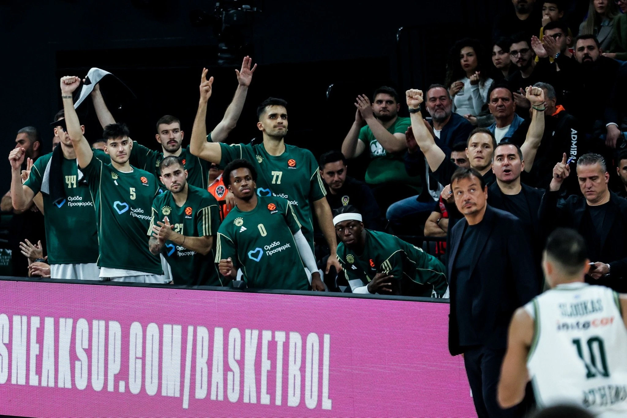 Ο Εργκίν Αταμάν και ο πάγκος του Παναθηναϊκού στον αγώνα με την Εφές / Πηγή: Eurokinissi