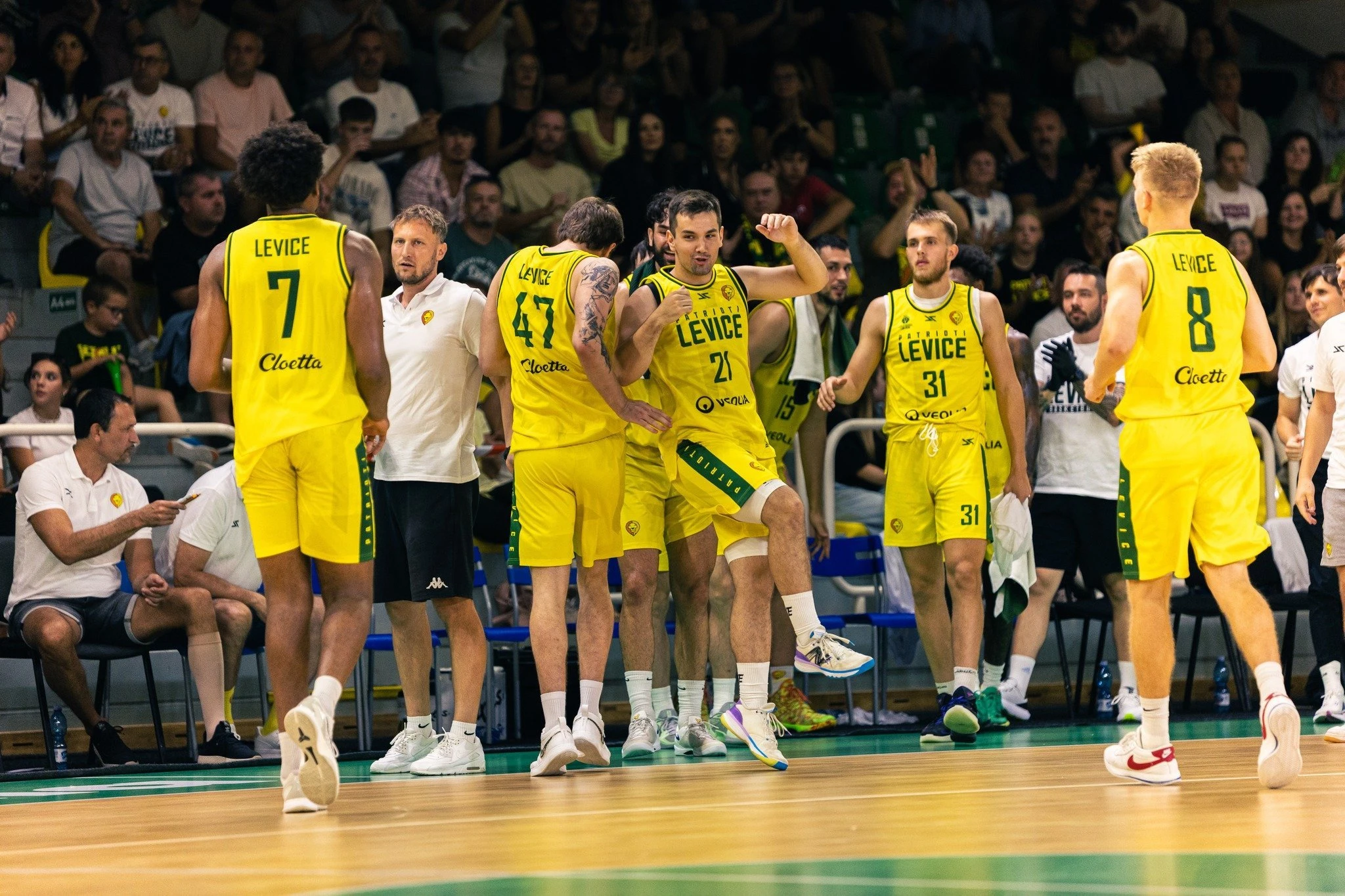 Η Πατριότι Λεβίτσε