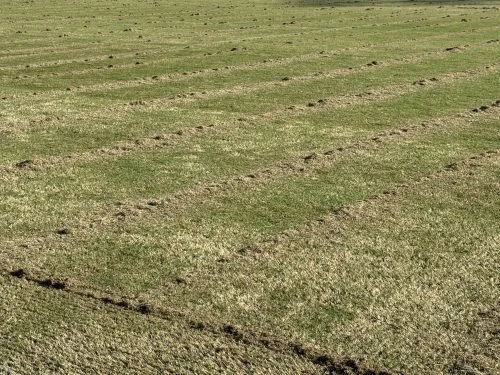 Πηγή: ΠΑΕ Βόλος