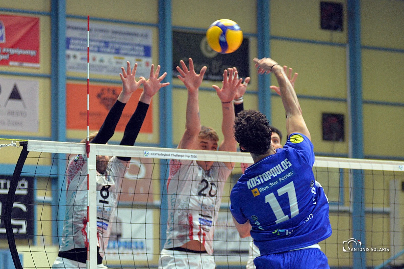 Φοίνικας Σύρου - Σομόν / Πηγή: Αντώνης Σολάρης /&nbsp;Φοίνικας Σύρου