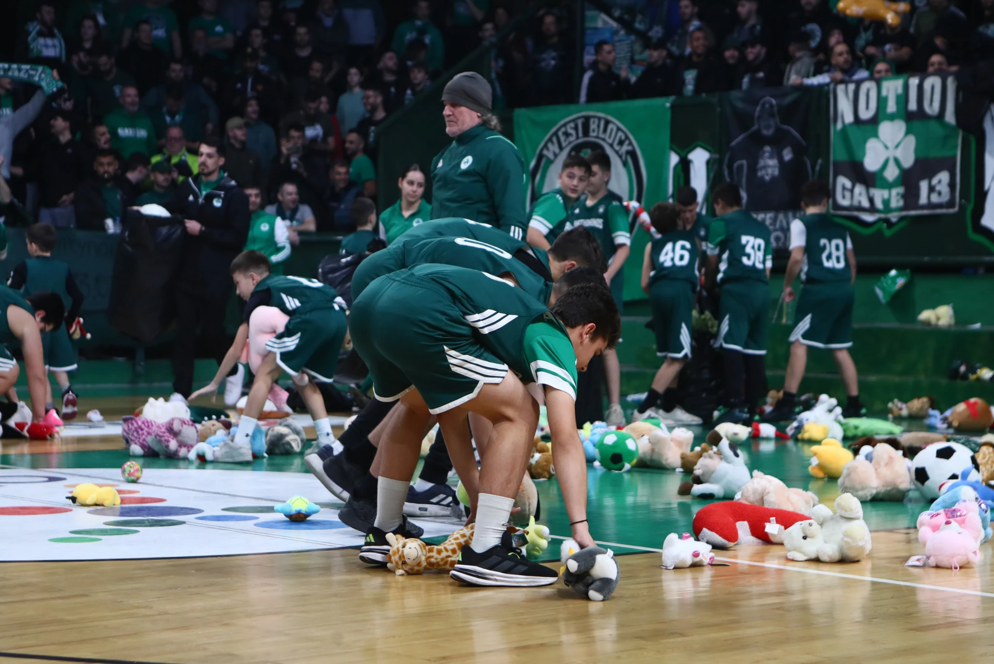 Τα λούτρινα αρκουδάκια στο μπάσκετ Γυναικών του Παναθηναϊκού / Πηγή: Eurokinissi