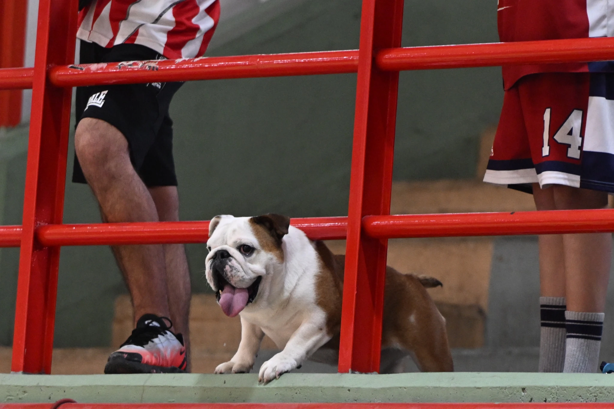 Πηγή: Eurokinissi