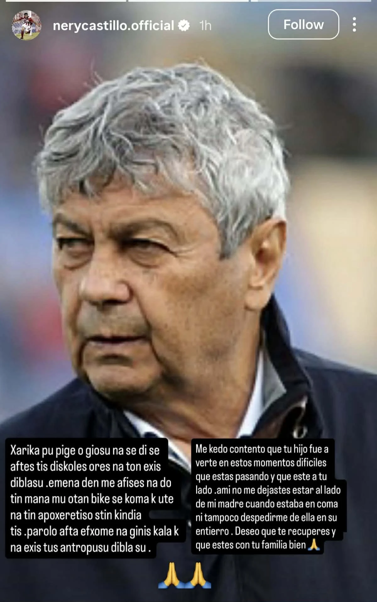 Το στόρι του Νέρι Καστίγιο / Screenshot (@nerycastillo.official)