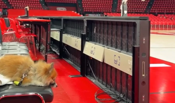 Το Instagram Story της Εστρέλα μέσα απ