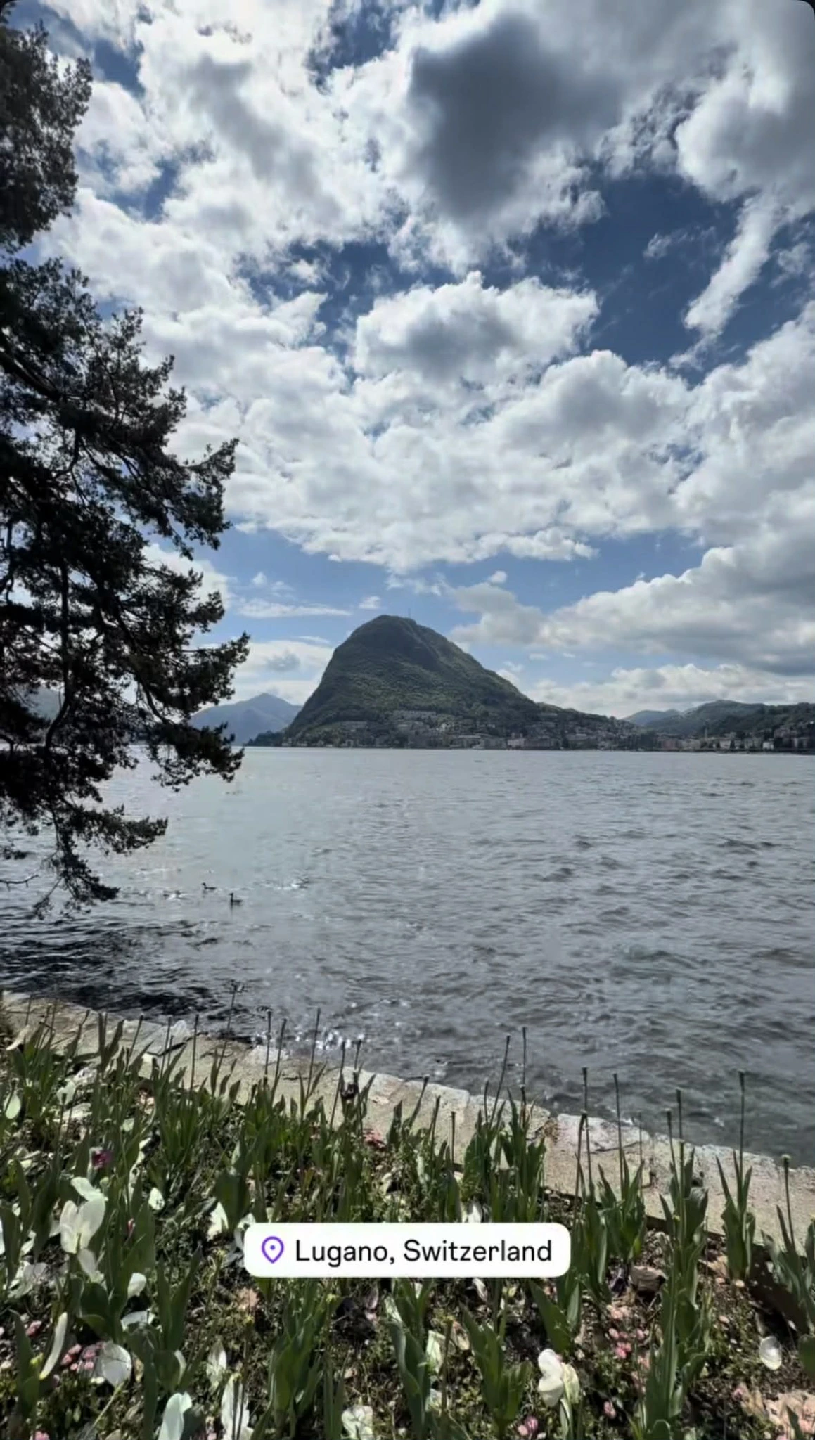 Εικόνες από το ταξίδι του Χέιζ-Ντέιβις στην Ελβετία