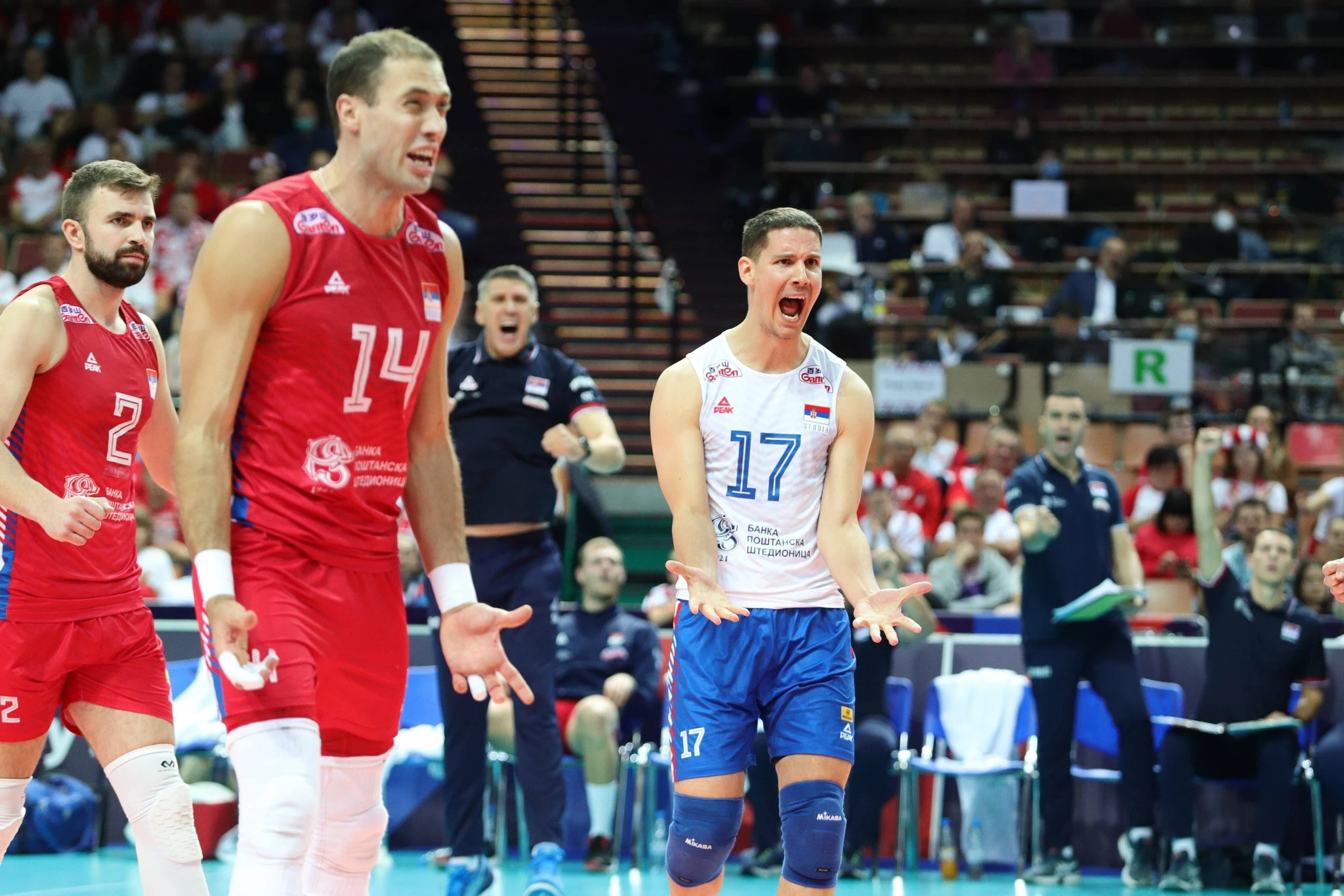 Ατανασίεβιτς και Μαΐστόροβιτς στο Ευρωπαϊκό του 2021 / Πηγή: IMAGO / Newspix