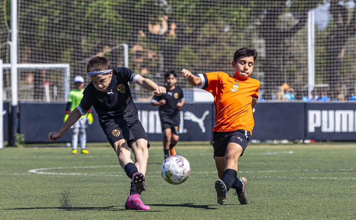 vcf-camps-2.jpg?v=0