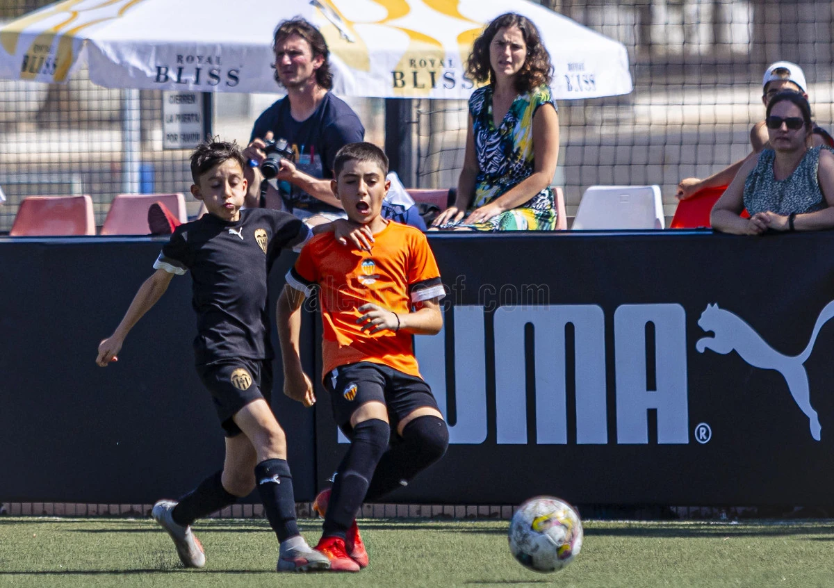 vcf-camps-3.jpg?v=0