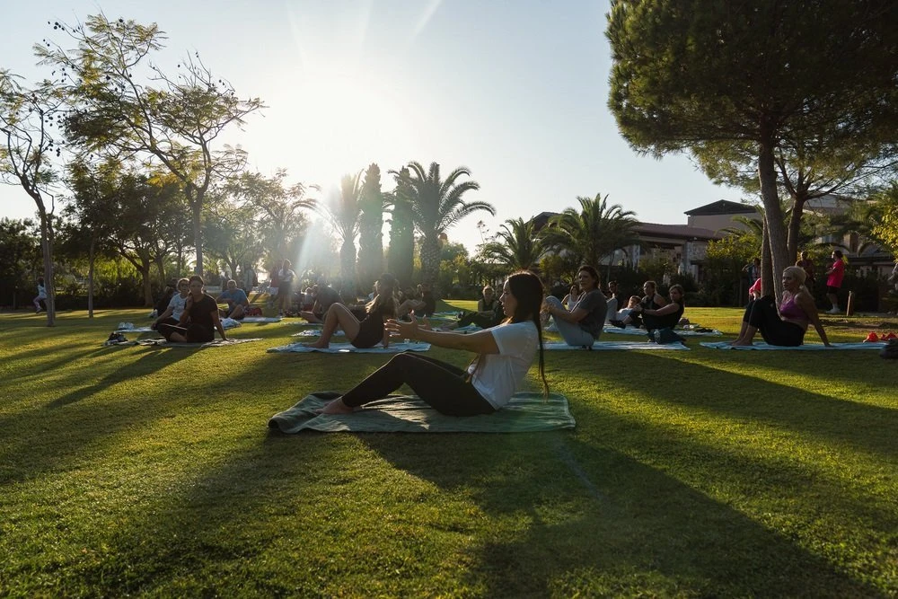 Πηγή: Navarino Challenge