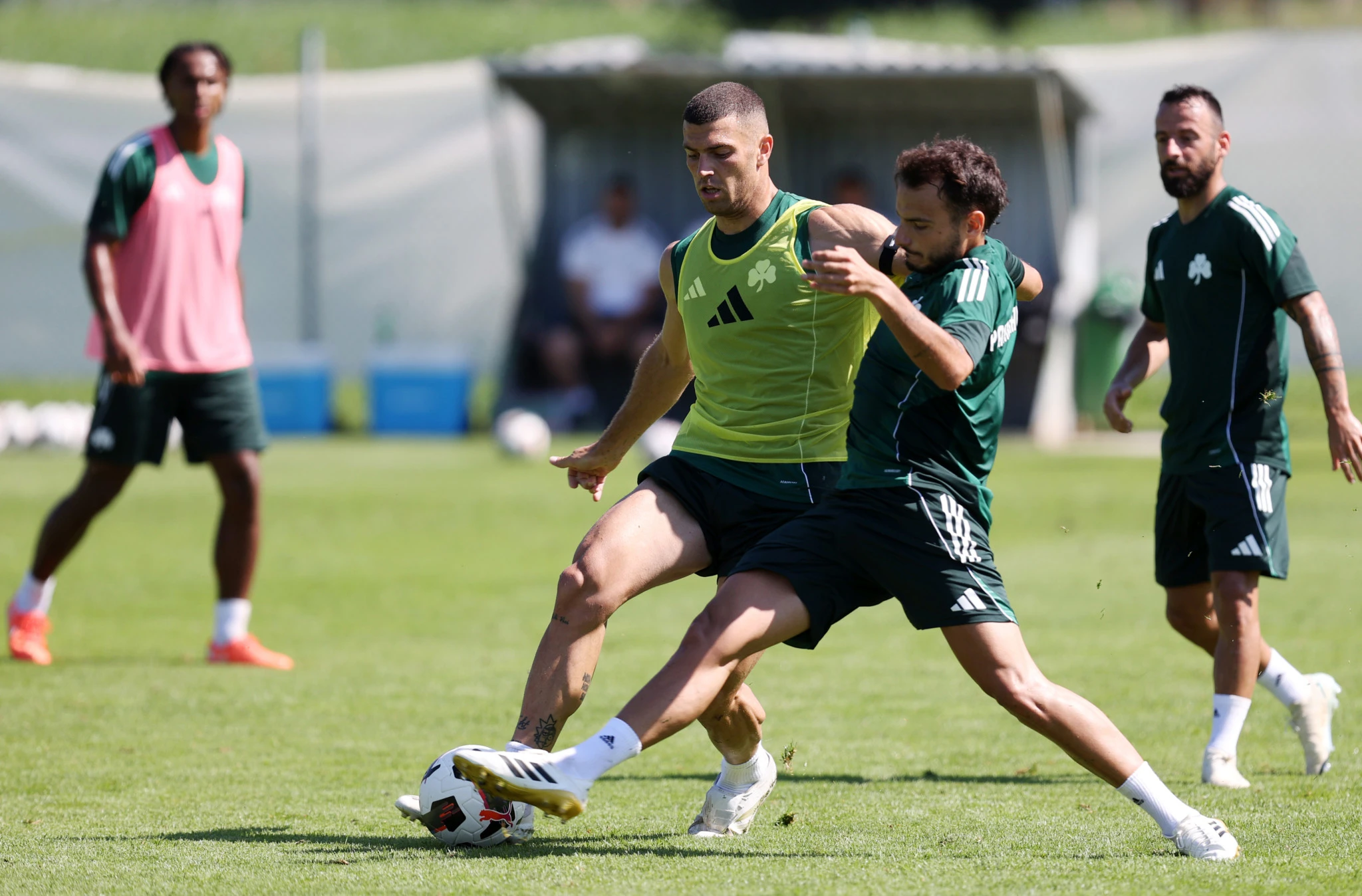 Πηγή: ΙΝΤΙΜΕ