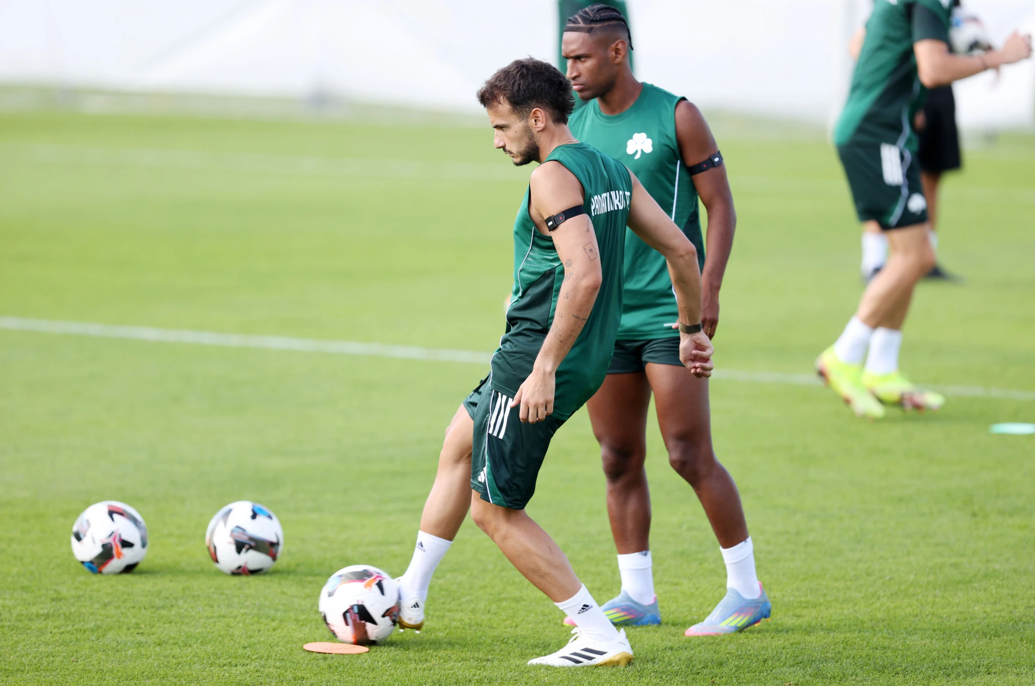 Πηγή: ΙΝΤΙΜΕ