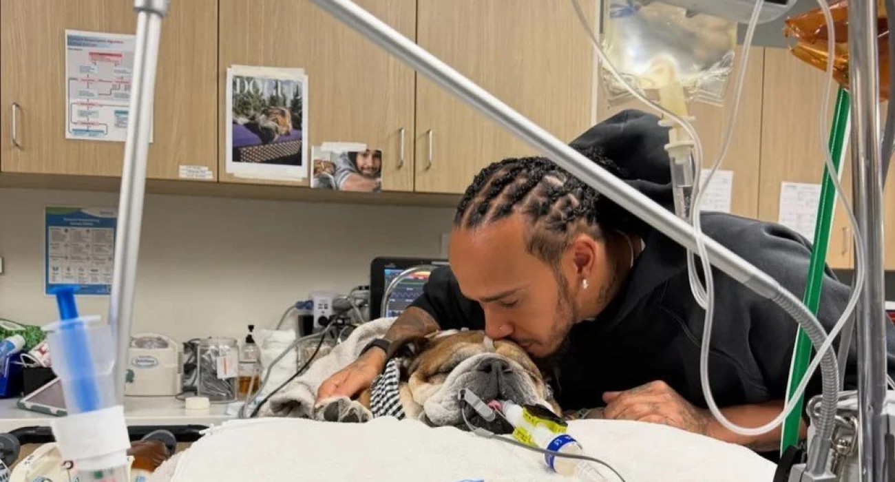 Ο Λούις Χάμιλτον με τον σκύλο του Ρόσκο / Πηγή: Instagram