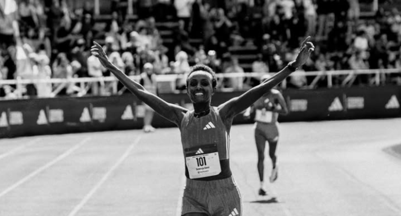 Σεργουάργκε Αλένε / Screenshot