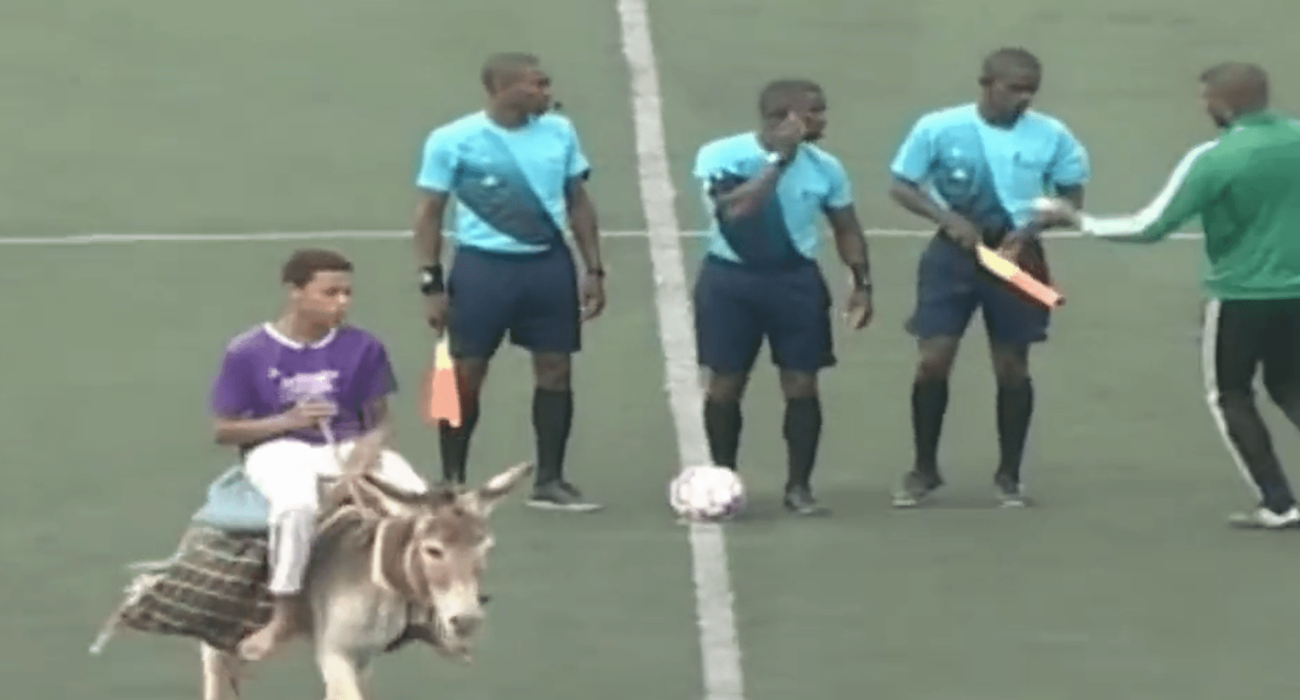 Ενας γάιδαρος σε αγώνα στο Πράσινο Ακρωτήρι / Screenshot