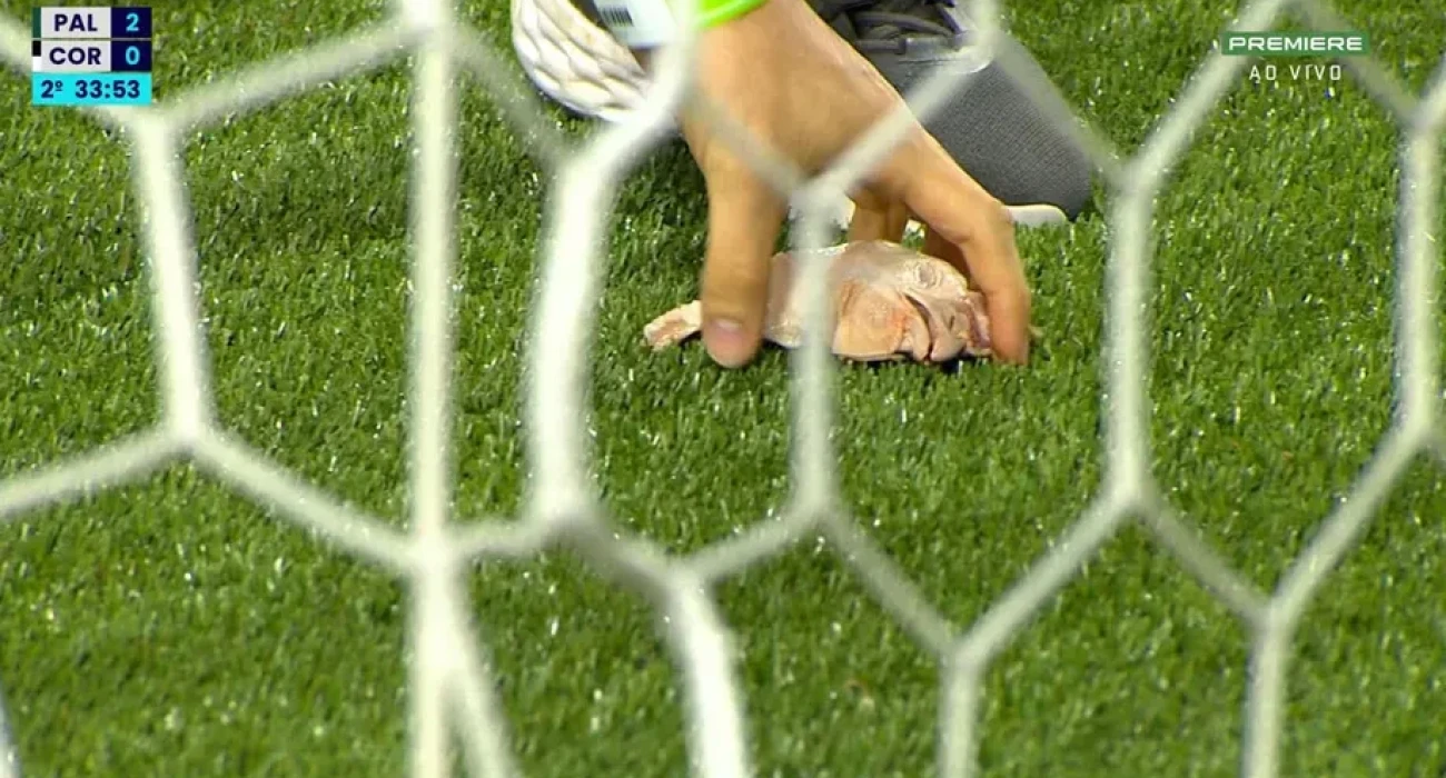 Οπαδοί της Παλμέιρας πέταξαν κεφάλια κοτόπουλου στον αγωνιστικό χώρο στο ντέρμπι με την Κορίνθιανς