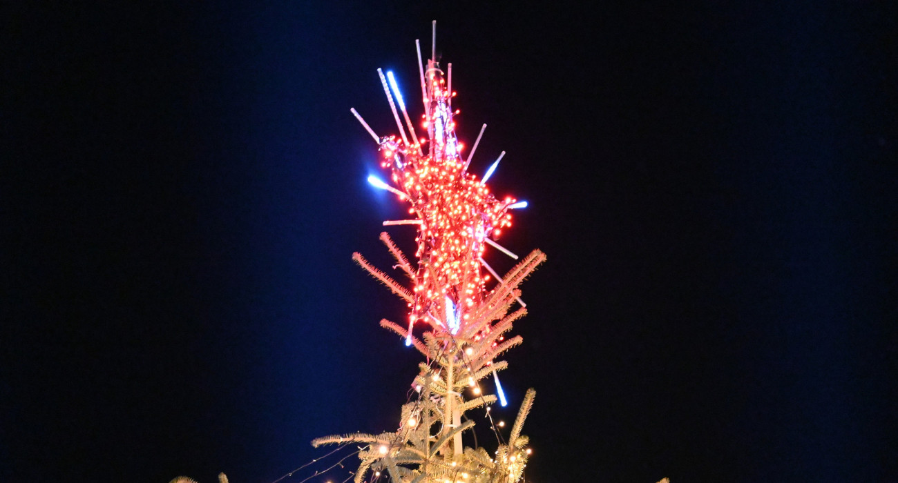 Χριστουγεννιάτικο δέντρο / Πηγή: Eurokinissi