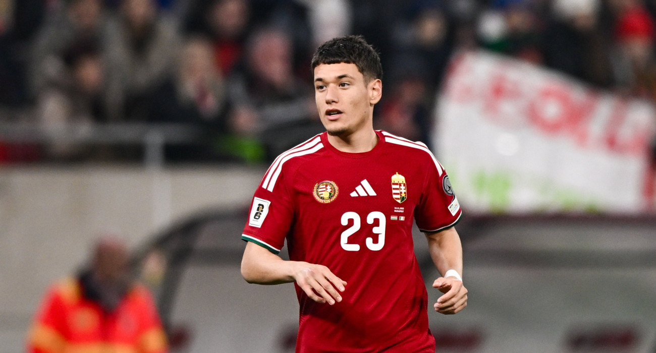 Ο Νταμίρ Ρέντζιτς / Πηγή: Ben McShane/Sportsfile via Getty Images