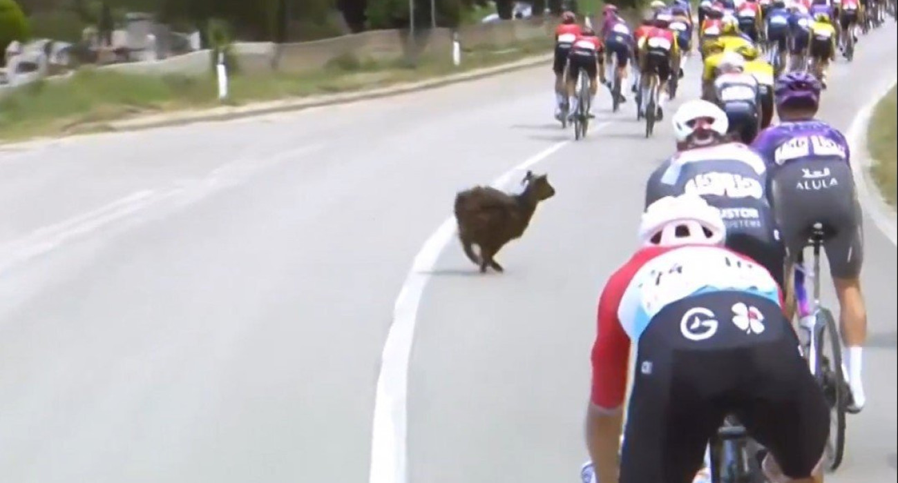 Πηγή: Screenshot