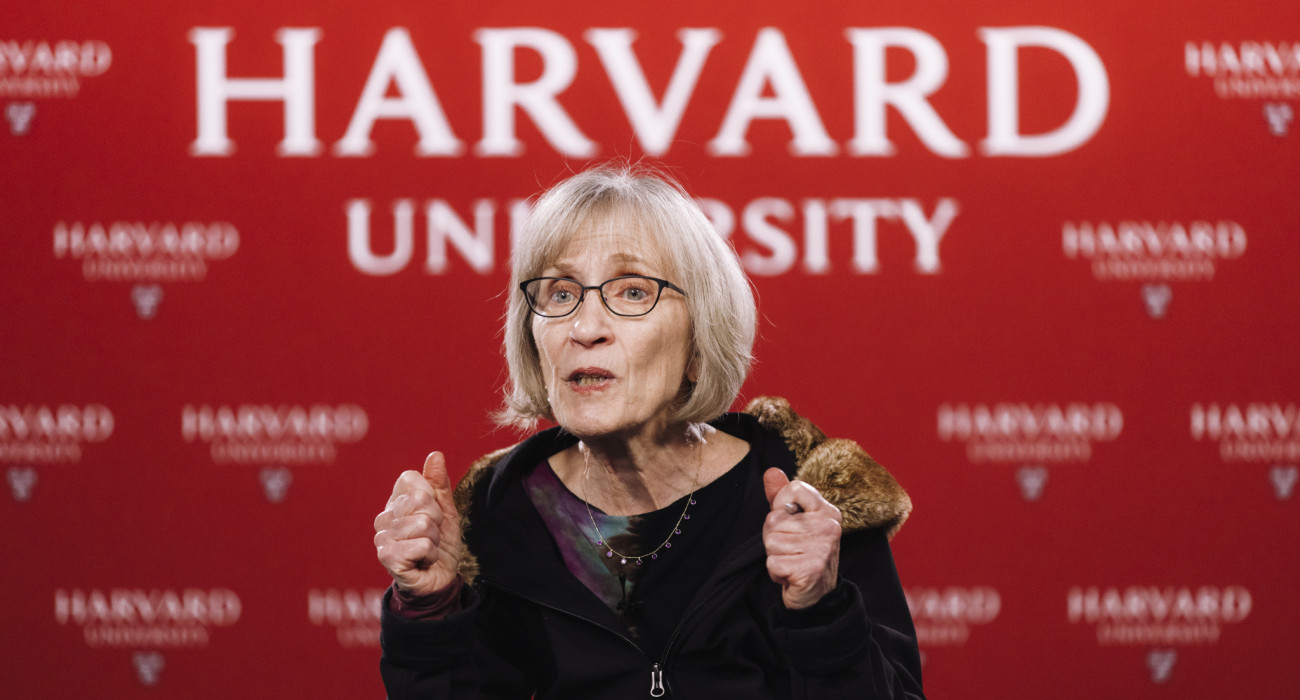 Πηγή: Carlin Stiehl / Getty Images / Ideal Images