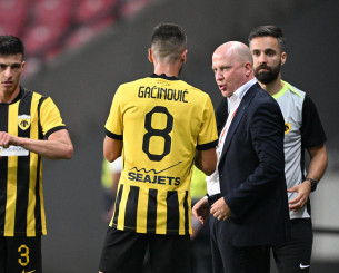 Καθηγητής Μάρκο