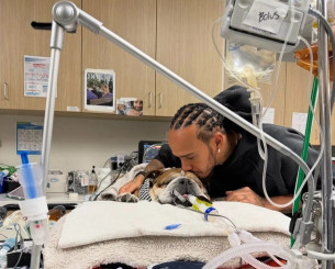 «Έφυγε» από τη ζωή ο Ρόσκο, ο σκύλος του Λιούις Χάμιλτον