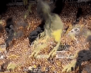 Ραντεβού χούλιγκαν για μάχη σε δάσος - 400 συλλήψεις και φωτοβολίδες