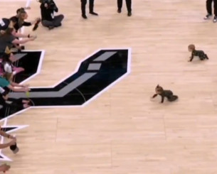 Το είδαμε κι αυτό: Μωρά έκαναν... κούρσα σε παρκέ του NBA! (video)