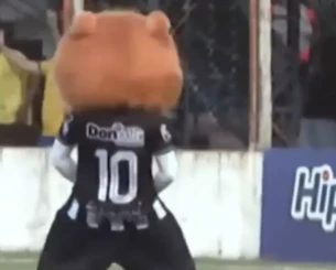 Απίθανο σκηνικό στη Βραζιλία: Μασκότ προκάλεσε, δέχτηκε επίθεση και... αποβλήθηκε (video)