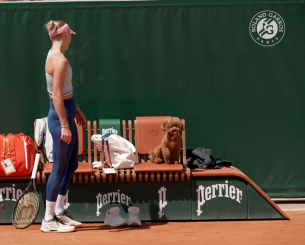 Το Roland Garros προσέλαβε την πρώτη... dogsitter για τα σκυλιά των επαγγελματιών τενιστών