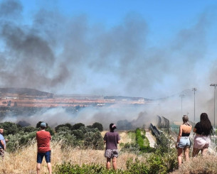 Φωτιά στα Σπάτα, κοντά στο προπονητικό κέντρο της ΑΕΚ! (photos)