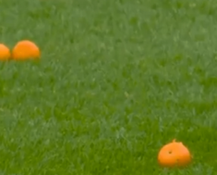 Απίστευτο σκηνικό στην Σκωτία: Οπαδοί της Σέλτικ πέταξαν μανταρίνια στον αγωνιστικό χώρο