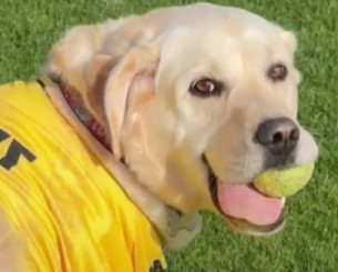 Ο viral και πιο πιστός οπαδός του Άρη σε μία απολαυστική συνέντευξη - Τι τρώει όταν κερδίσει η ομάδα του και πως αντιδρά στα γκολ (video)