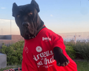 Μεγάλη η πέραση της πανηγυρικής μπλούζας του Ολυμπιακού, στα «ερυθρόλευκα» και ο σκύλος του Μιλουτίνοφ