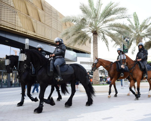 Δρακόντεια μέτρα στην «Etihad Arena» πριν το παιχνίδι του Παναθηναϊκού με την Φενέρμπαχτσε