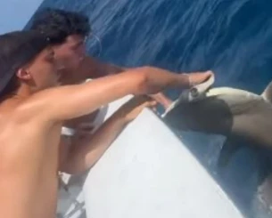 Οργή για τον Ζοάο Φέλιξ: Ψάρεψε απειλούμενο είδος καρχαρία (video)