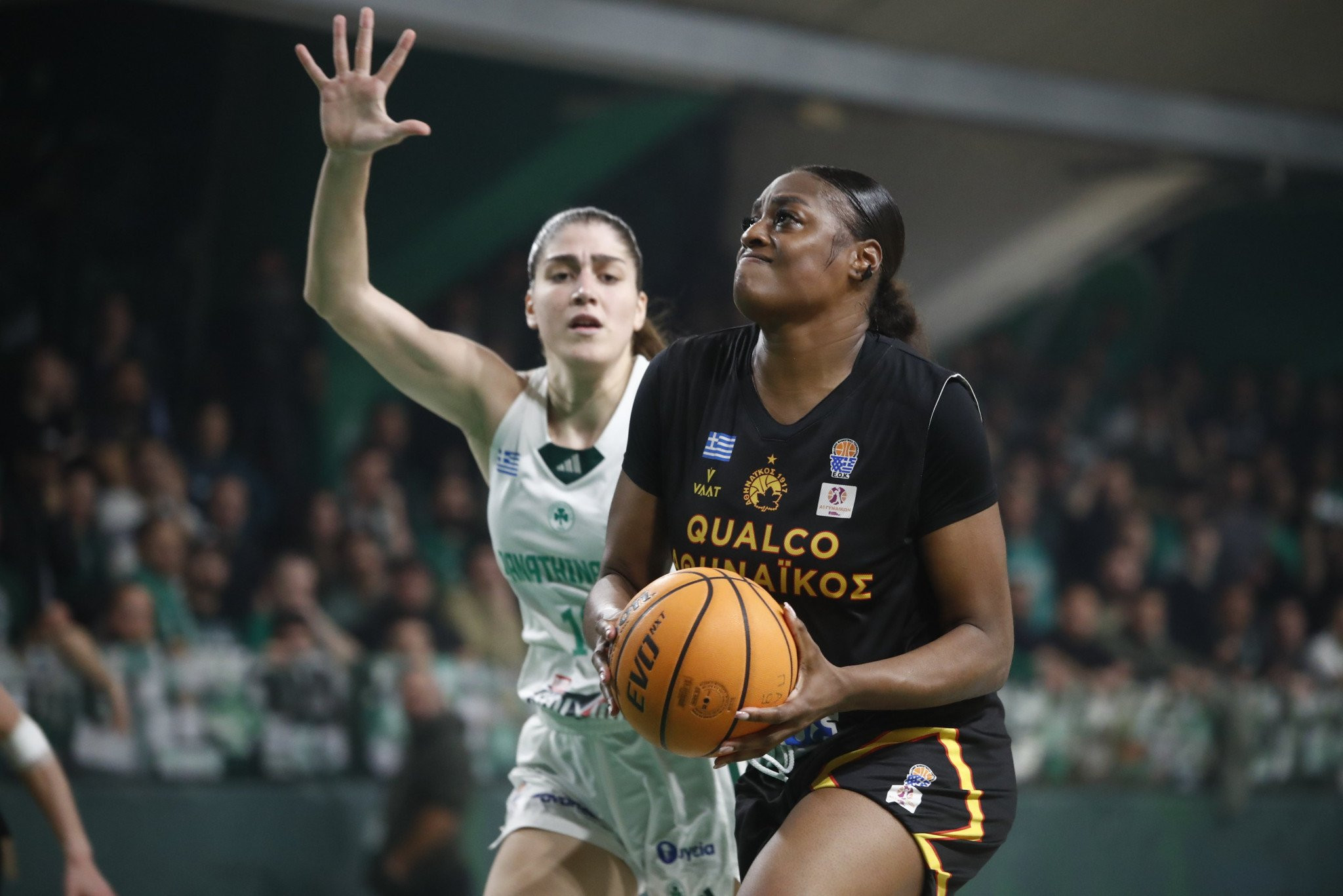 Πρεμιέρα στην Α1 μπάσκετ γυναικών με Αθηναϊκός - Παναθηναϊκός