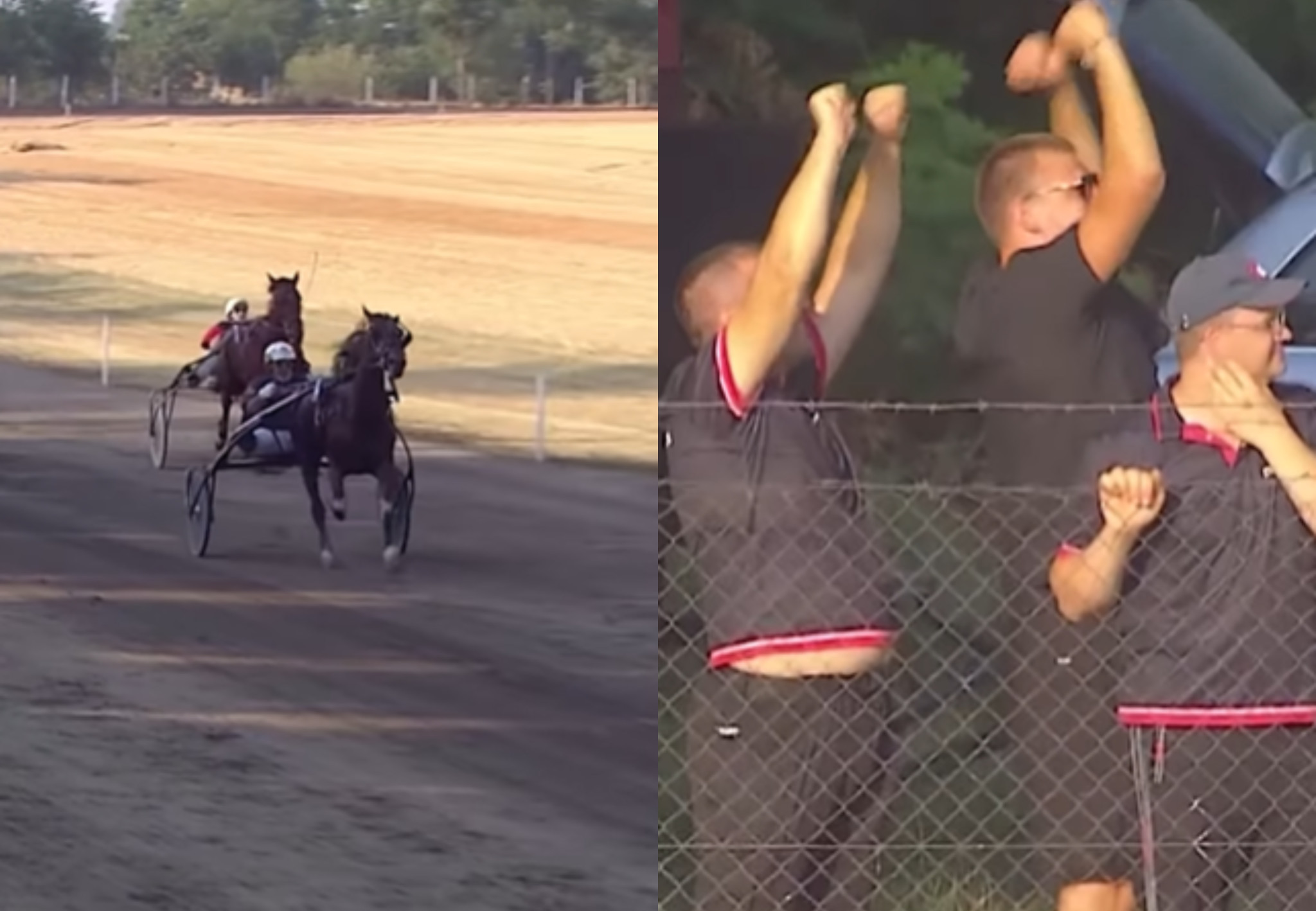 Ο Γιόκιτς πανηγύρισε σαν τρελός τη νίκη του αλόγου του στον ιππόδρομο (video)