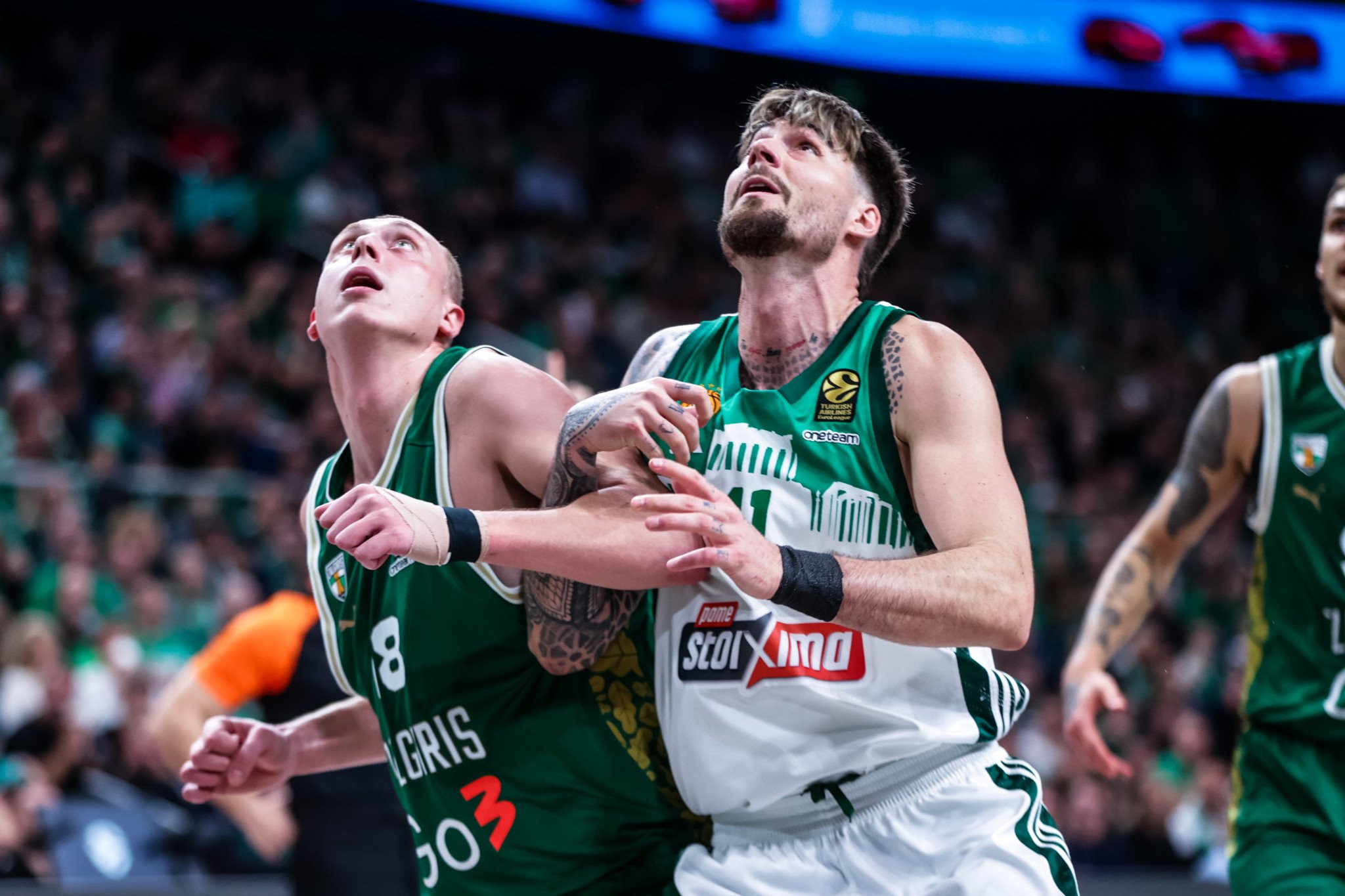 Ανακοίνωσε τον Σμάιλαγκιτς η Βίρτους Μπολόνια