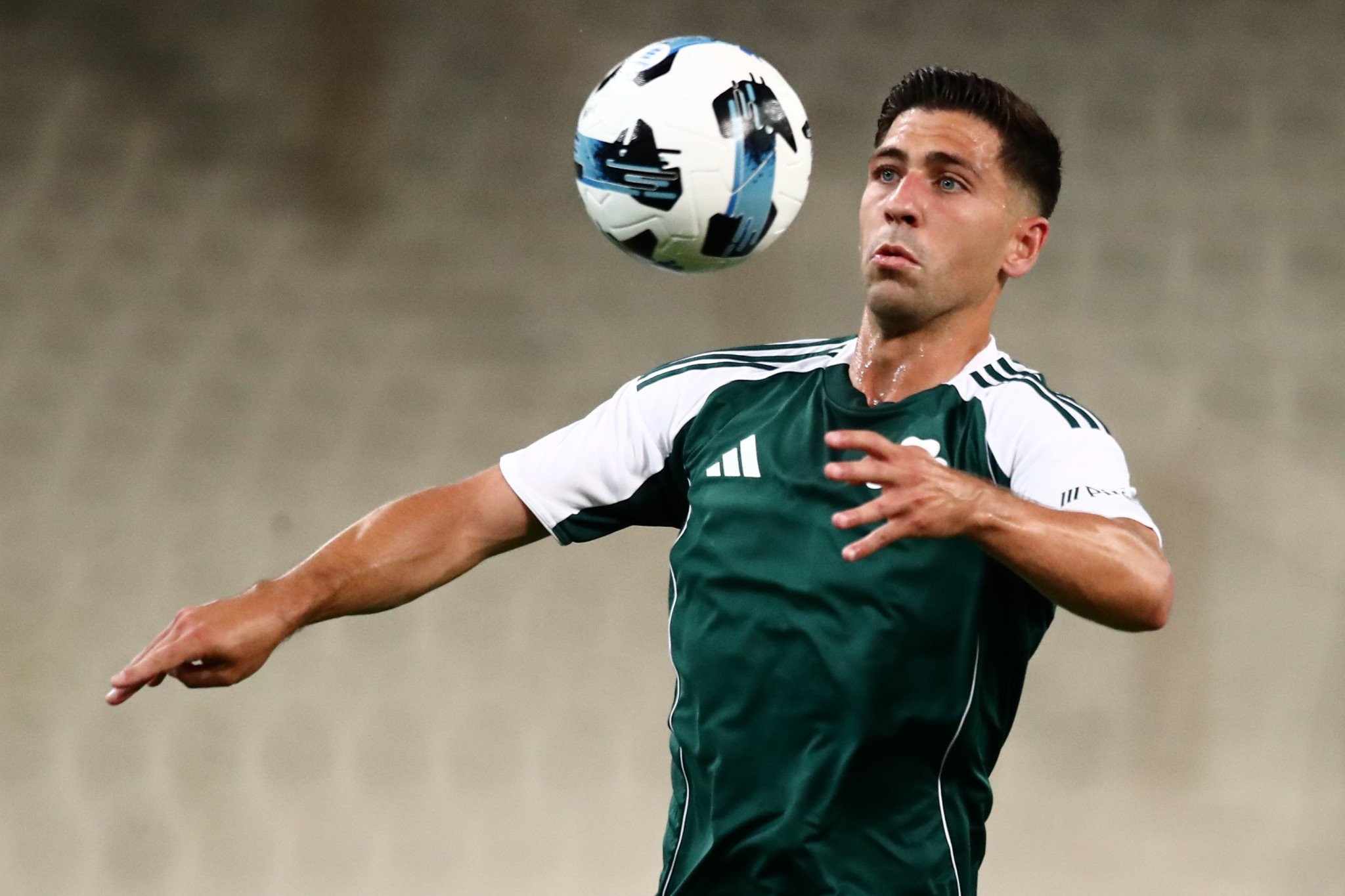 Νέος αρχηγός του Παναθηναϊκού ο Μπακασέτας