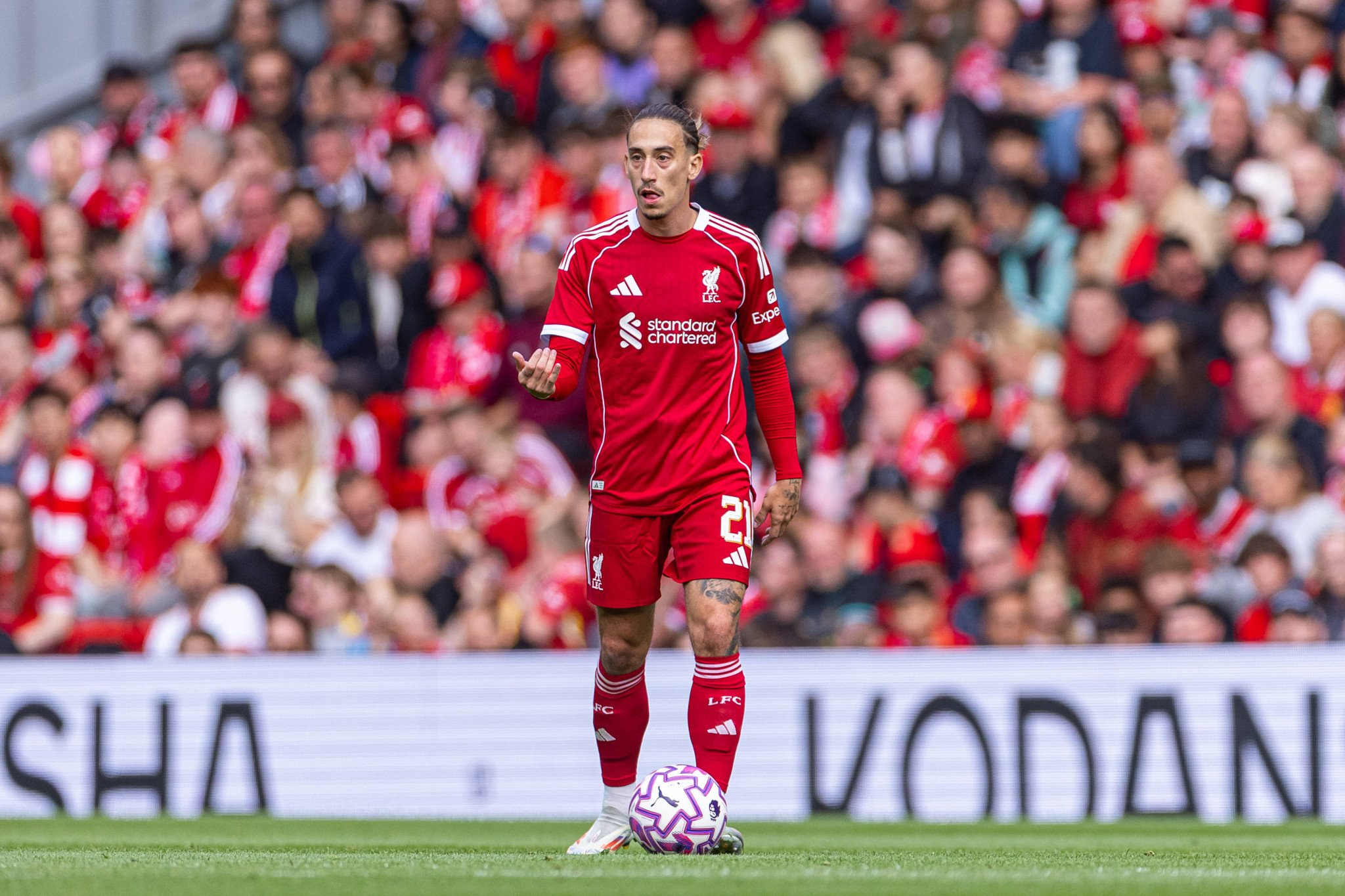 «Επανέρχεται η Λιλ για Τσιμίκα»