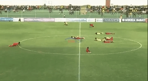 Τρομερό περιστατικό στην Τανζανία: Σμήνος μελισσών σταμάτησαν αγώνα - Στο έδαφος παίκτες και διαιτητής