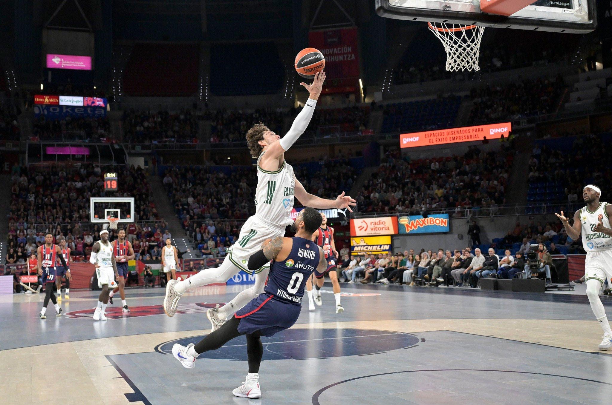 Η μύγα και η μέλισσα!