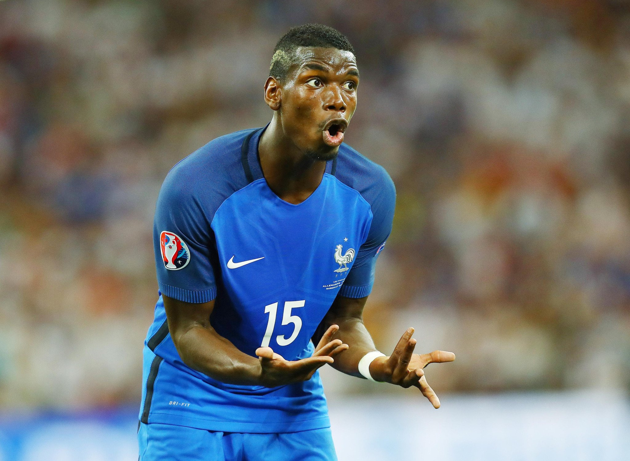 Φιλοζωική οργάνωση τα «έχωσε» στον Πογκμπά για την επένδυση του στις καμηλοδρομίες