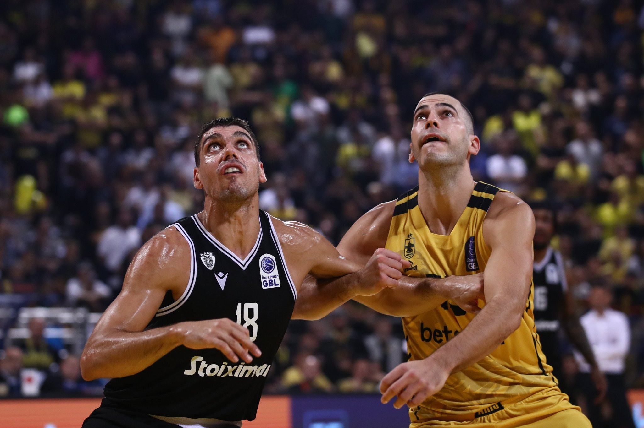 Τα highlights της τεράστιας νίκης του ΠΑΟΚ στο ντέρμπι της Θεσσαλονίκης (video)