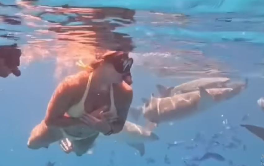 Μια... γοργόνα ανάμεσα σε καρχαρίες η Σαμπαλένκα (video)