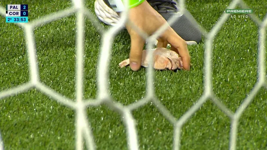 Οπαδοί της Παλμέιρας πέταξαν κεφάλια κοτόπουλου στον αγωνιστικό χώρο στο ντέρμπι με την Κορίνθιανς